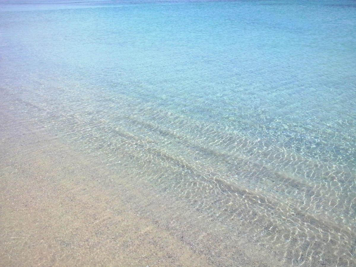 Sea Love Olbia Eksteriør bilde